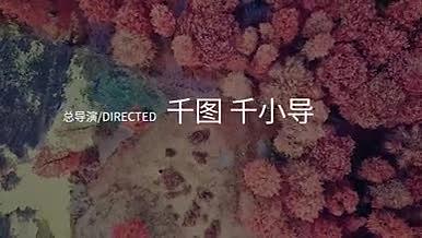 PR模板电影片头片尾字幕标题中文合辑视频的预览图